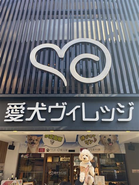 愛犬ヴィレッジ 閉店|愛犬ヴィレッジ 東新宿店